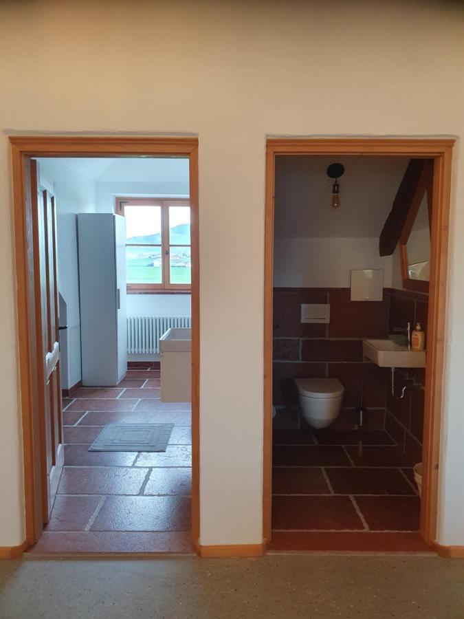 Ferienwohnung Gutshof Seenland Seekirchen am Wallersee Exterior foto
